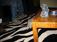 IMG_0302.JPG