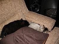 IMG_0314.JPG