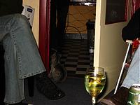 IMG_0331.JPG