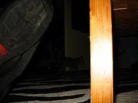 IMG_0333.JPG