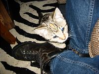 IMG_0334.JPG