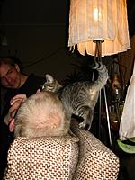 IMG_0336.JPG