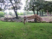 IMG_2782.jpg