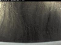 grab1087077455.jpg