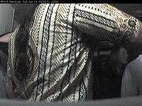 grab1087080781.jpg