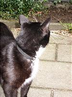 IMG_1738.jpg