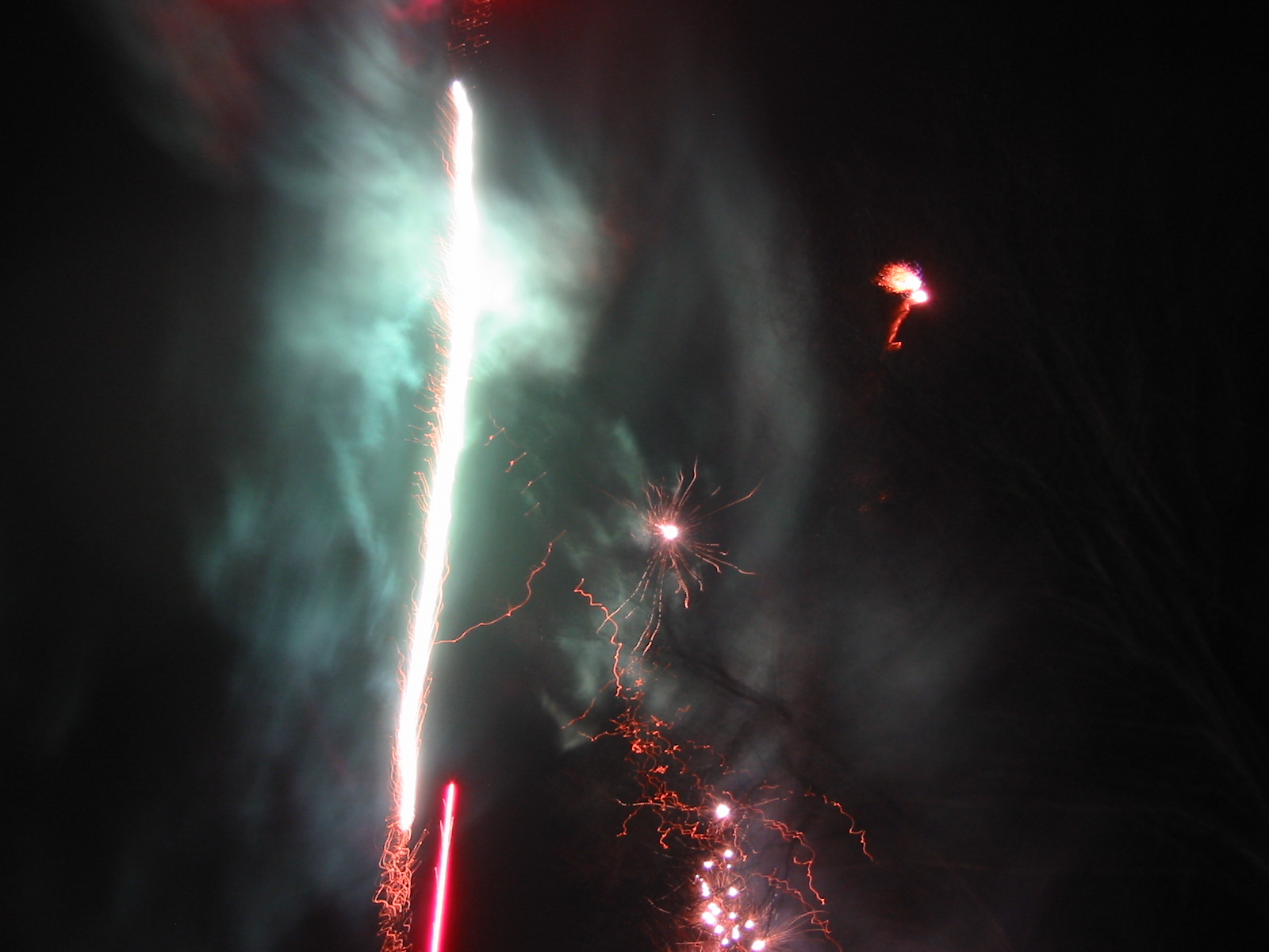 IMG_3701.jpg