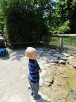 IMG_5249.JPG
