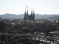 IMG_3569.JPG