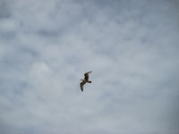 IMG_0678.jpg
