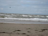 IMG_0681.jpg