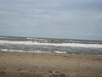 IMG_0682.jpg