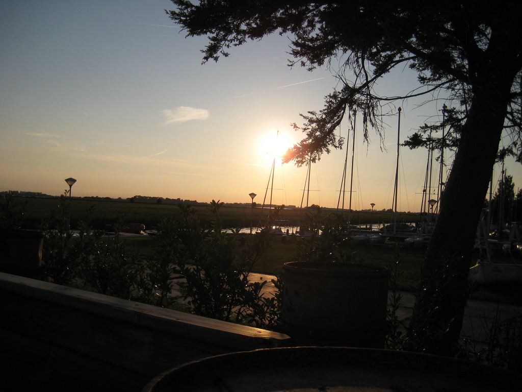 IMG_4839.jpg