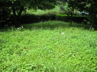 IMG_2746.jpg