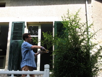 IMG_2762.jpg