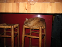 IMG_1283.jpg