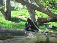 IMG_6083.jpg