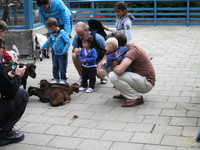 IMG_2665.jpg