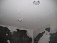 IMG_5357.jpg