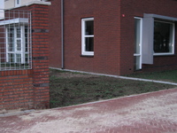 IMG_5444.JPG