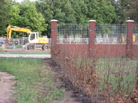 IMG_5454.JPG