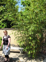 IMG_5534.JPG