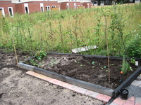 IMG_5873.jpg