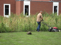IMG_5886.jpg