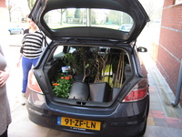 IMG_6380.jpg