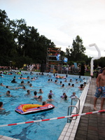 IMG_0253.jpg