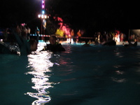 IMG_0328.jpg