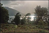015_13.JPG