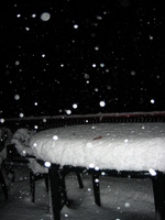 IMG_3478.jpg
