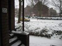 IMG_4473.JPG
