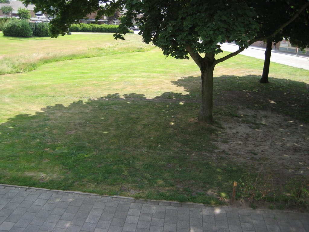 IMG_1988.jpg