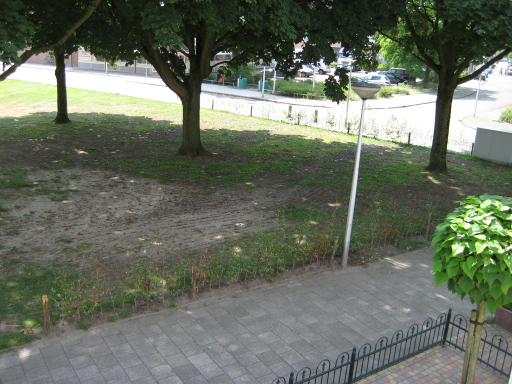 IMG_1989.jpg