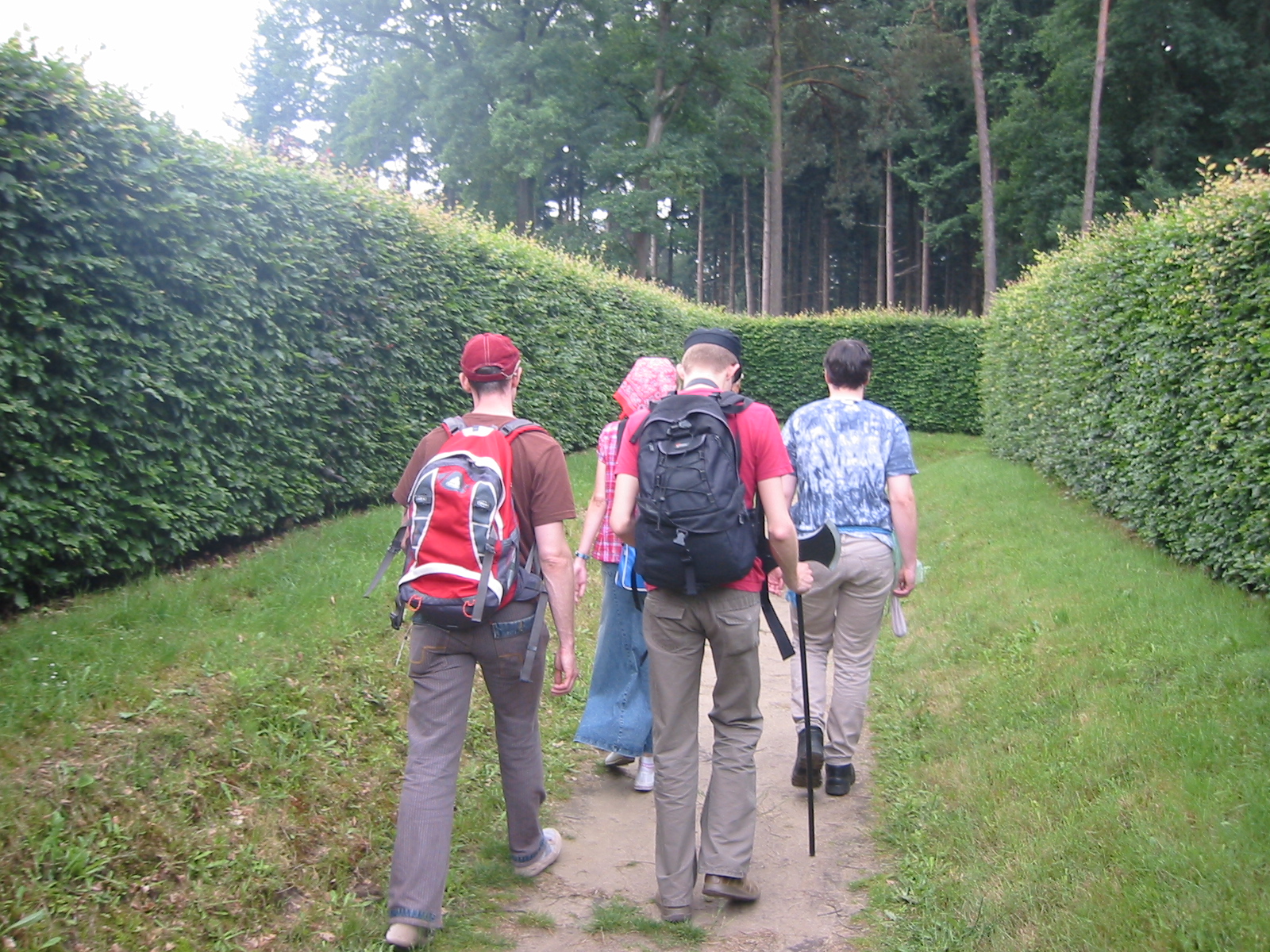 IMG_4090.jpg
