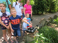 IMG_5663.JPG