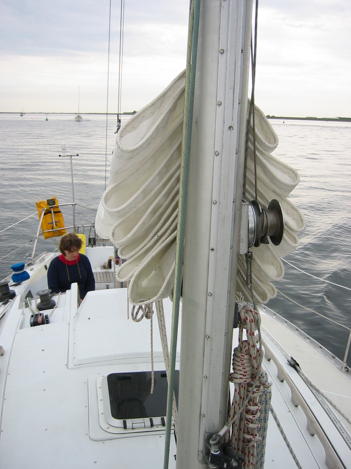 IMG_2943.jpg