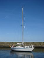 IMG_2918.jpg