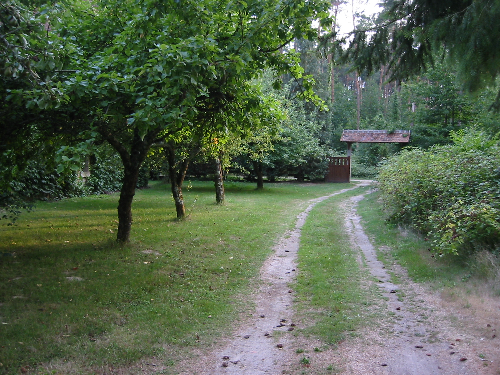 IMG_1968.jpg