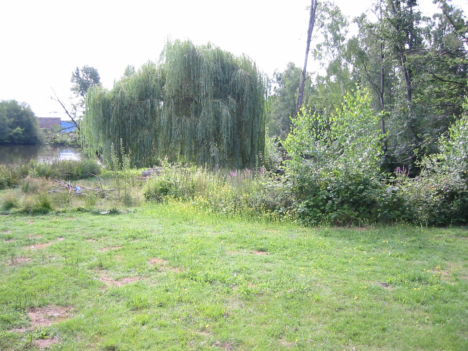 STM_1934.jpg