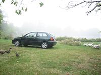 IMG_1885.jpg