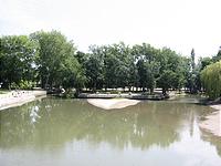 IMG_1945.jpg