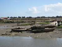 IMG_5012.jpg