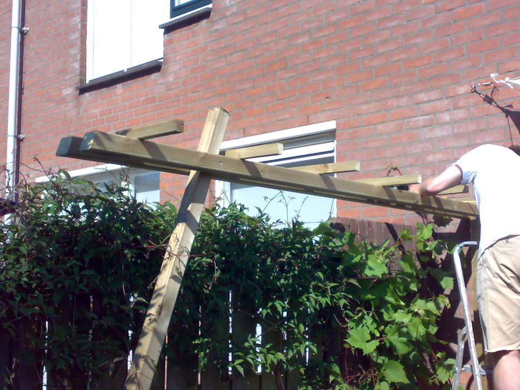 01062009098.jpg