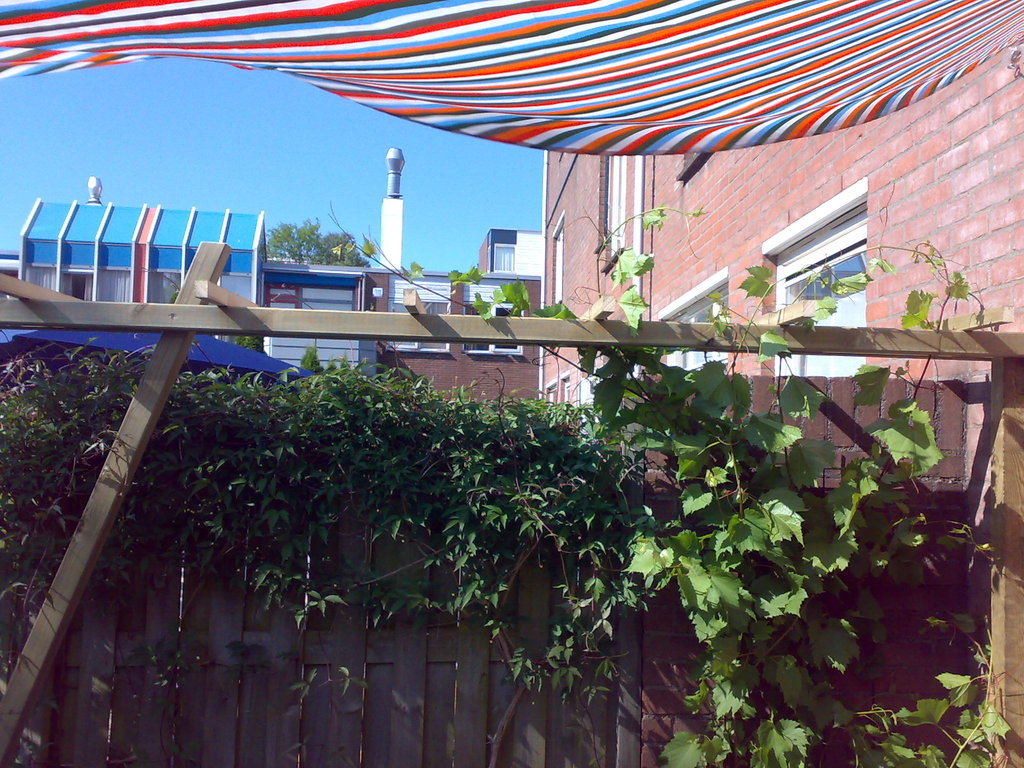 01062009106.jpg